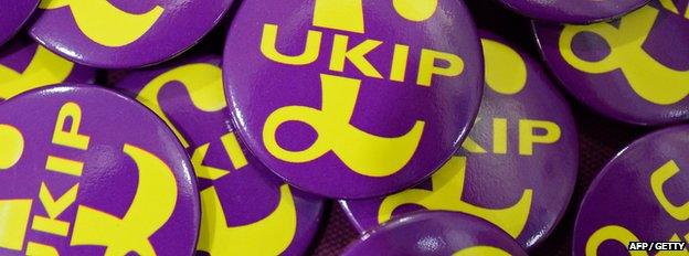 UKIP badges