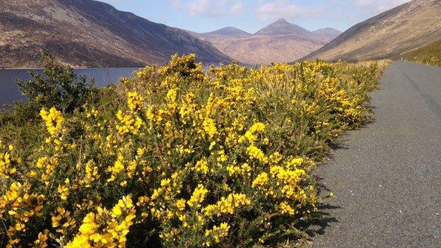 Mourne Mountains