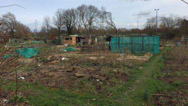 Estcourt Park allotments