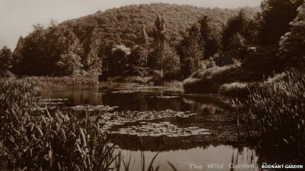 Old photo of the Wild Garden