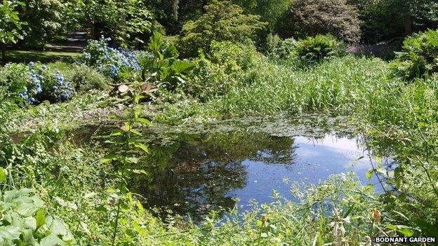 'Otter Pond'