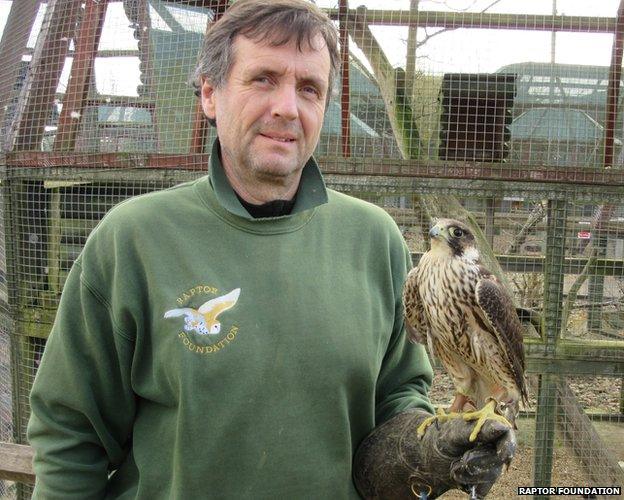 Simon Dudhill and a peregrine falcon