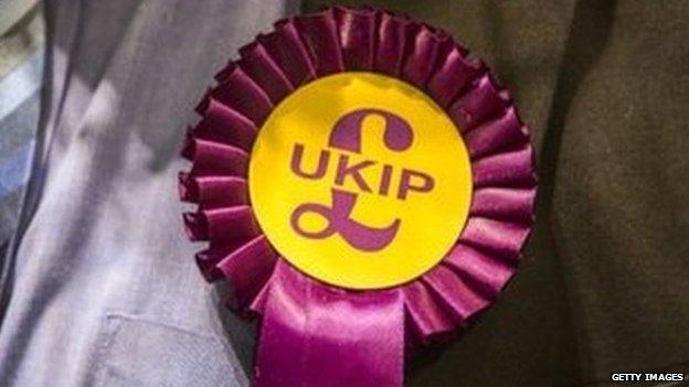 UKIP rosette