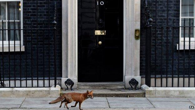 Downing Street