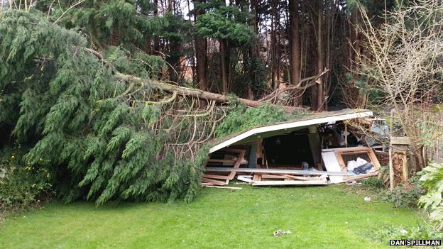 Collapsed shed, Epping, Essex