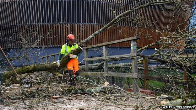 A worker clears a fallen tree which blocked a footbridge in Cardiff