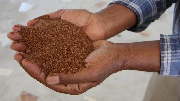 A man holding teff