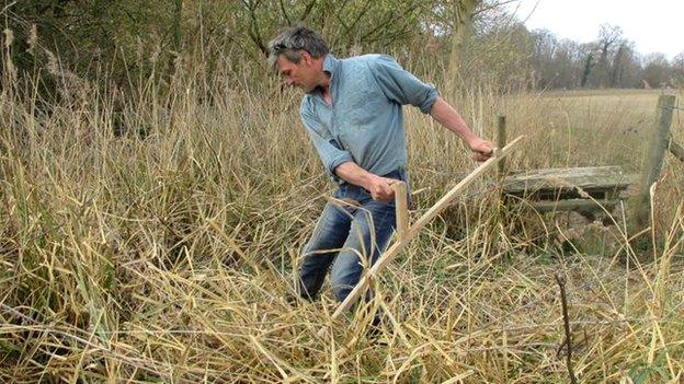 Simon Damant scything at Wimpole Estate