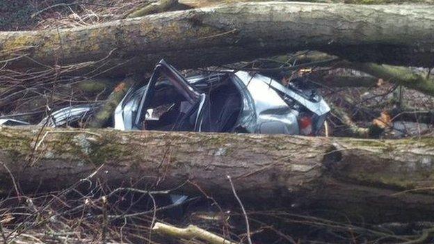 Car crushed by tree in Selly Oak, Birmingham