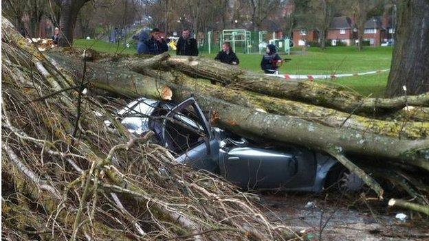 Car crushed by tree in Selly Oak, Birmingham