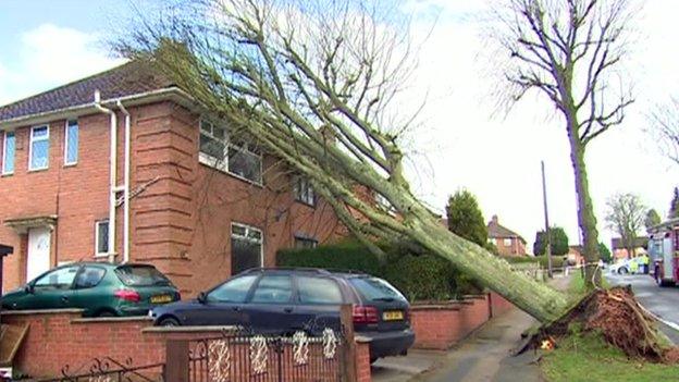 Tree hitting house