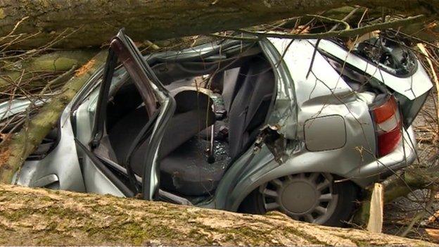 Car crushed by tree in Selly Oak, Birmingham