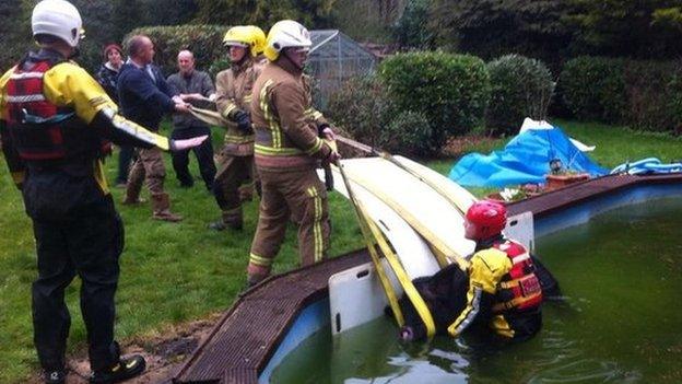 Pig rescue in Dorset