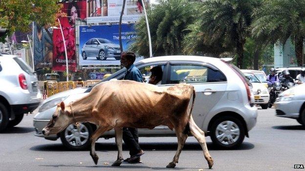 Indian man walks with his cow on the busiest street of Bangalore, India on 01 April 2015.