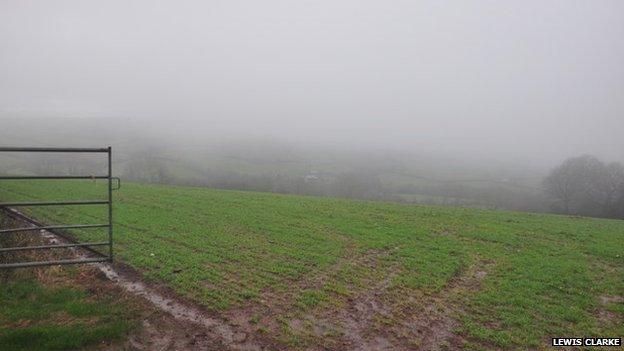 A grassy field in Devon