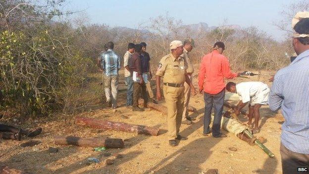 Members of the media film the bodies of loggers killed by an anti-smuggling task force in a remote forest in the southern state of Andhra Pradesh on April 7, 2015.