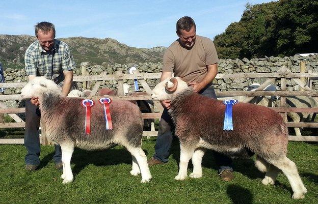 Two farmers presenting prize-winning sheep