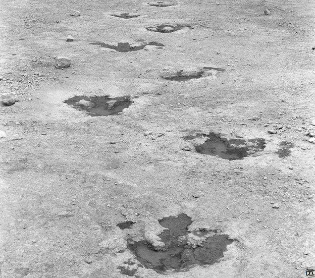 The dinosaur tracks at Ardley Trackways near Bicester