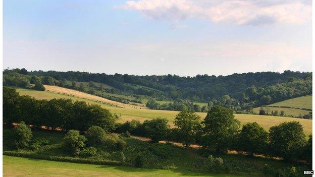 Surrey fields