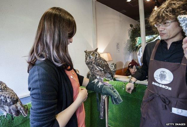 An owl sits on a woman's arm at Tori-no Iru Cafe in Tokyo