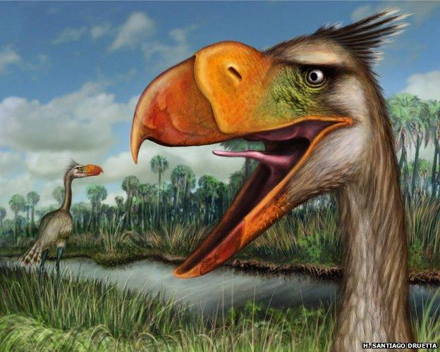 Terror bird illustration