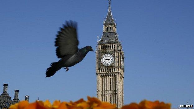A pigeon flies in front of Big Ben in Westminster - 20 March 2015