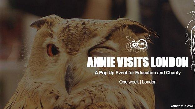 Annie The Owl promotional image