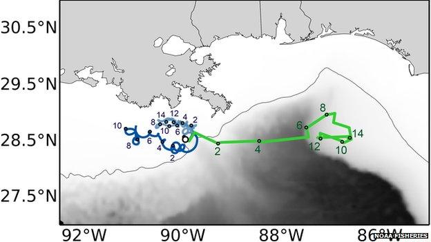 tracking map