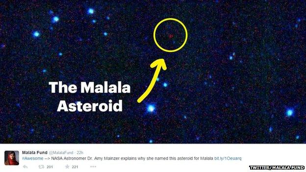 The Malala Asteroid