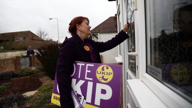 UKIP activist