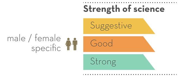 Detail from infographic on scientific studies for a longer life - by David McCandless 'Knowledge is Beautiful'