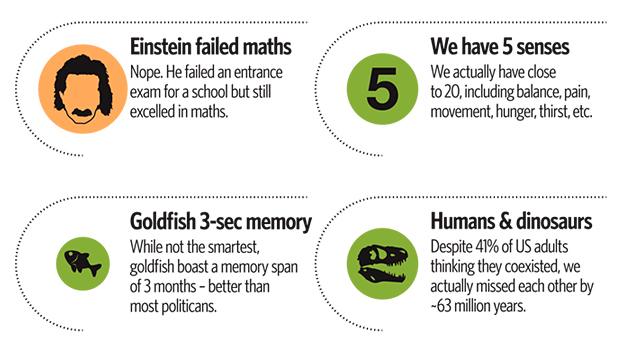 Detail from infographic on common urban myths - by David McCandless 'Knowledge is Beautiful'