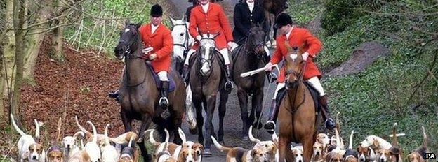 Fox hunting