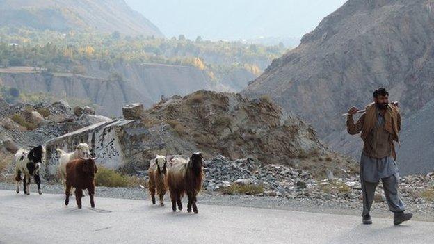 A shepherd on Mastuj Road, near Chitral