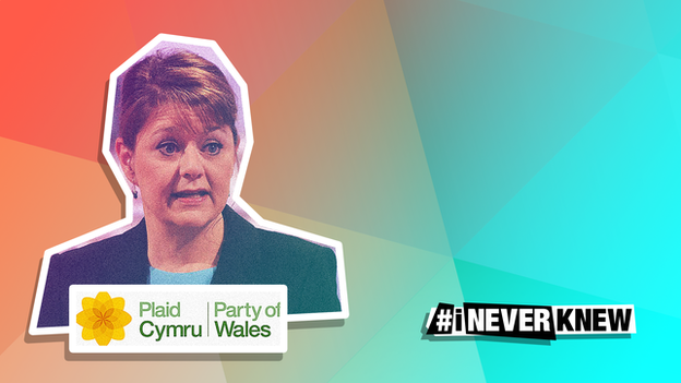 Leanne Wood is leader of Plaid Cymru...