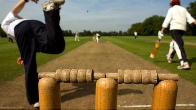 School cricket