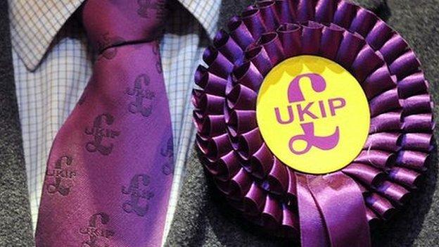 UKIP rosette