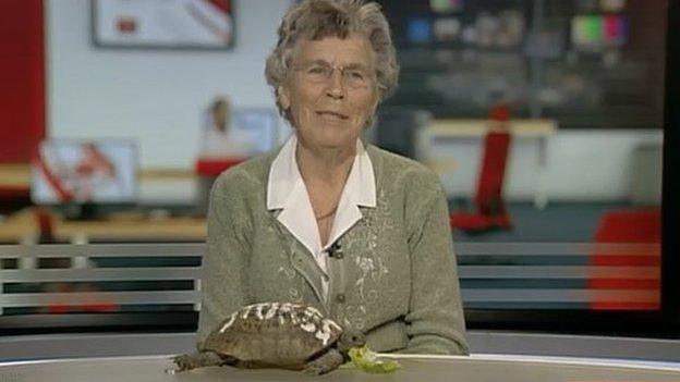 Wendy Stokes with Toby the tortoise