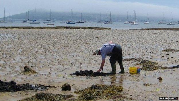 Castle Cove Beach, Weymouth