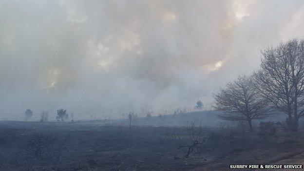 Pirbright heathland blaze