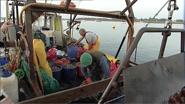 Oyster fishermen