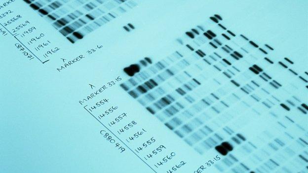 DNA fingerprint