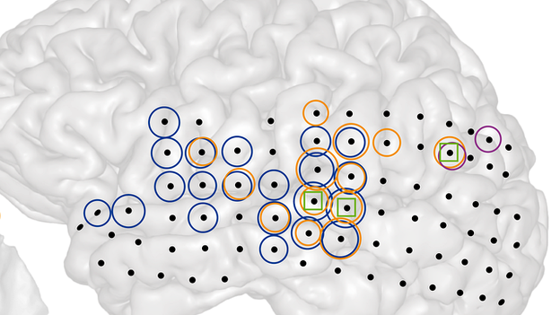 brain recordings illustration