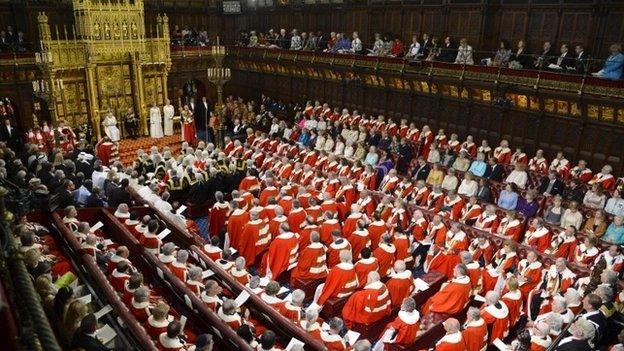 Peers at the state opening of Parliament in 2013