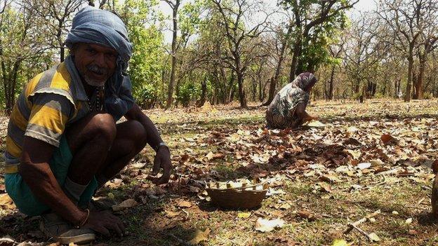 Tribals in Mahan in the forest