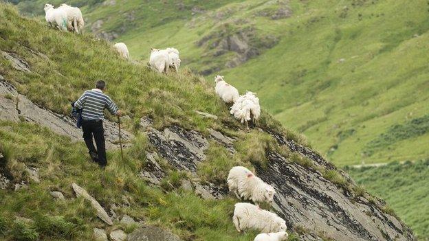 snowdon