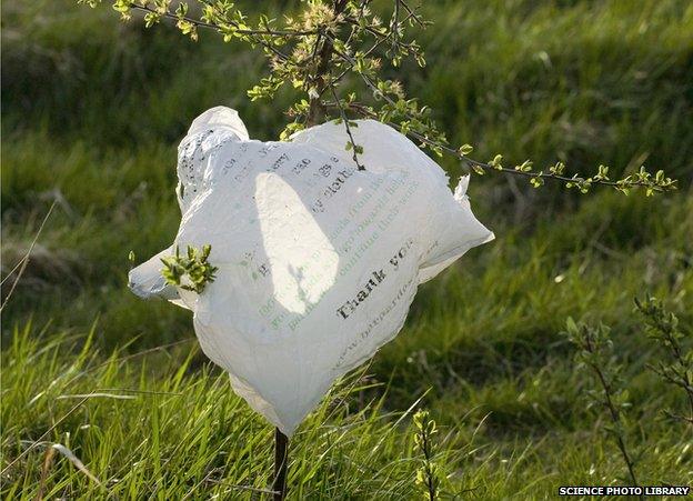 Plastic bag littering countryside - file pic