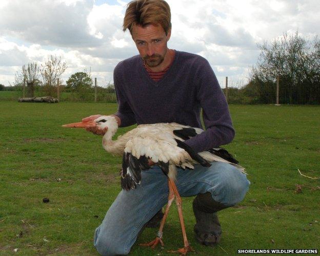 White stork with Ben Potterton