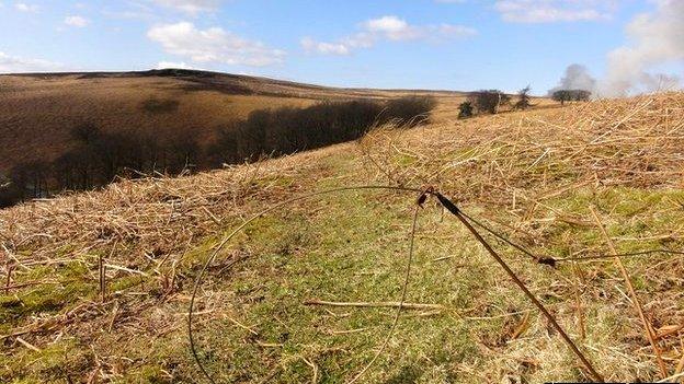 A snare set in an open access area of the Peak District