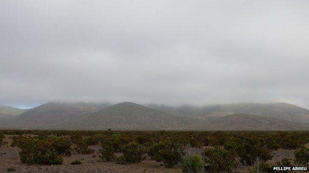 Fog in the Chilean hills